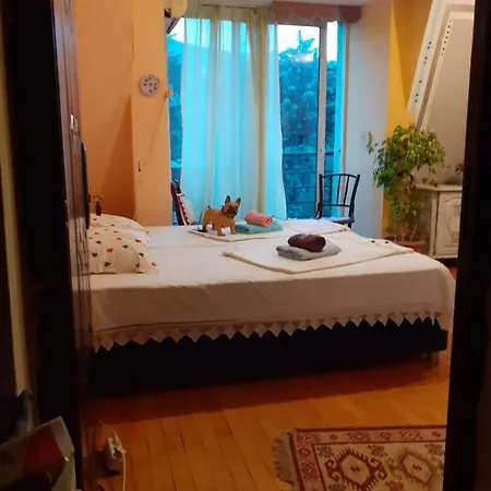 Apartment With A View *